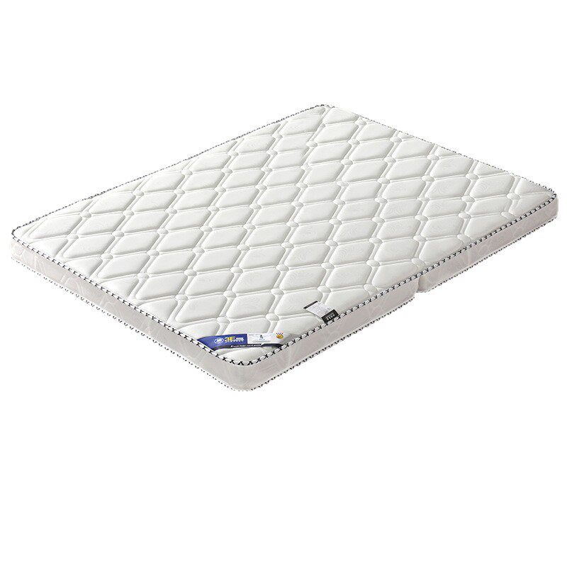Natural Coconut Palm Household Adult Spine-Protecting Mattress Eco-Friendly Latex Foldable Multifunctional Tatami Children's Bed Palm Mat