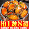 Ready-To-Eat Large Canned Abalone in Spicy Sauce, Small Seafood Ready-To-Eat Canned Oysters and Scallops, Office Meal Replacement Wholesale