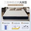 Blue Memory Box Mattress Soft Sponge Light Mattress Roll Pack Independent Spring Mattress Thickened Latex Mattress
