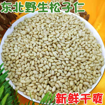 Pine Nuts Bulk Cake Baking Ingredients Peeled Nuts Daily Nuts Roasted Seeds and Nuts Wholesale Huashan Pine Nuts