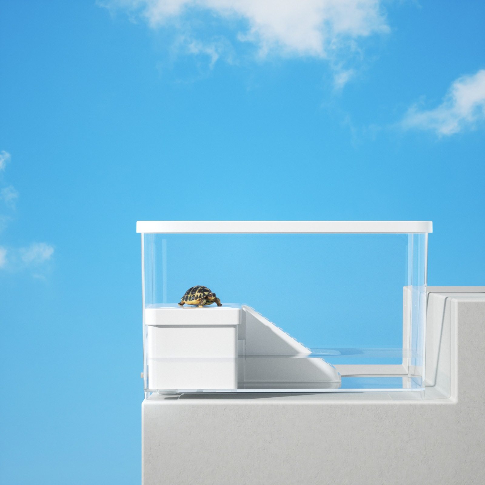 森森乌龟饲养缸 带晒爬台塑料龟缸循过滤循桌面缸 FG-B森森乌龟缸,淘宝优惠券,粉丝福利购,淘宝优惠卷