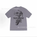 2060 dark purple