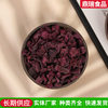 Dehydrated Purple Sweet Potato Grain Purple Sweet Potato Dried Purple Sweet Potato in stock Supply Dried Fruit and Vegetable Pasta Grain Congee Baking Raw Materials
