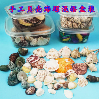 Natural Shell Conch Stereo Shell Flower Piece DIY Kidsren's Handmade Material Accessories Fish Tank Landscaping Decoration