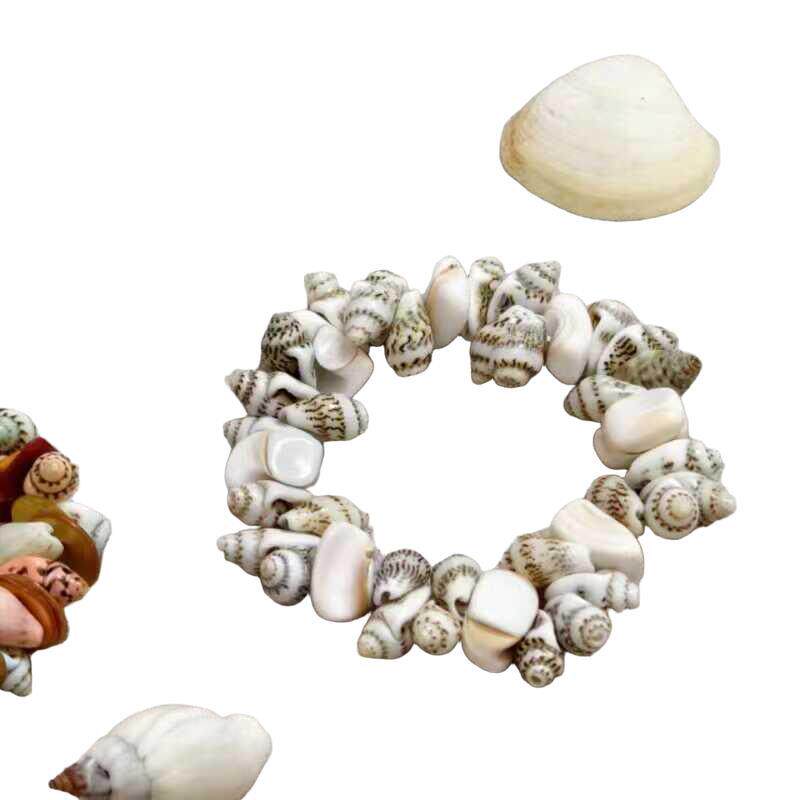 ♡ Natural Conch Shell Bracelet Necklace Handmade Marine Jewelry Children's Bracelets Street Stall Crafts Men's and Women's Gifts