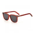 Red frame gray film