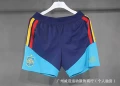 26-27 spain training pants