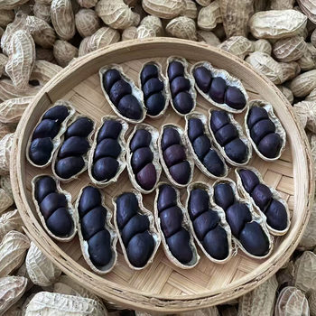 Yunnan Black Peanuts, Black-Skinned Peanuts, Pu'Er New Crop, Sun-Dried Black Peanuts with Shells, Purple-Black Peanut Kernels