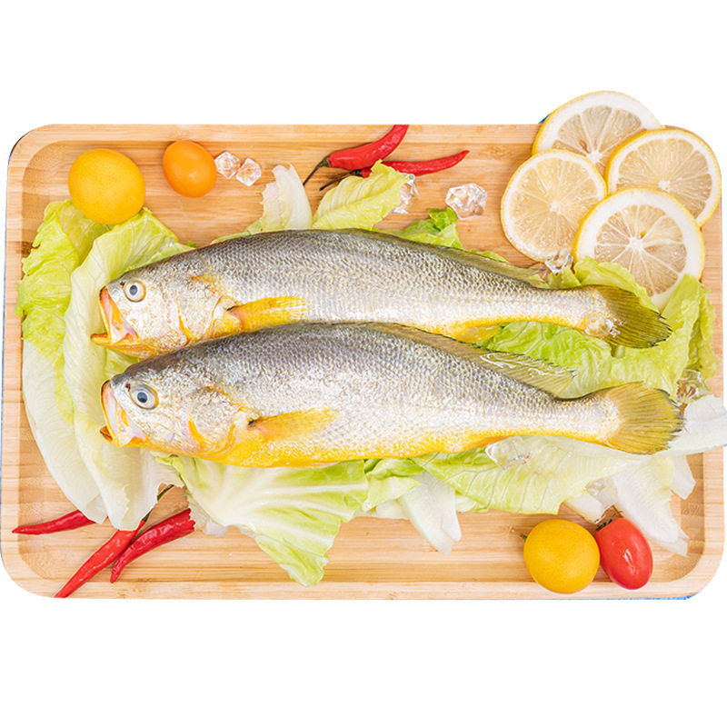 Chilled Yellow Croaker, Frozen Grilled Small Yellow Croaker, Fresh Sea Fish, Seafood, Whole Box, Commercial Wholesale, Sf Express Large Yellow Croaker