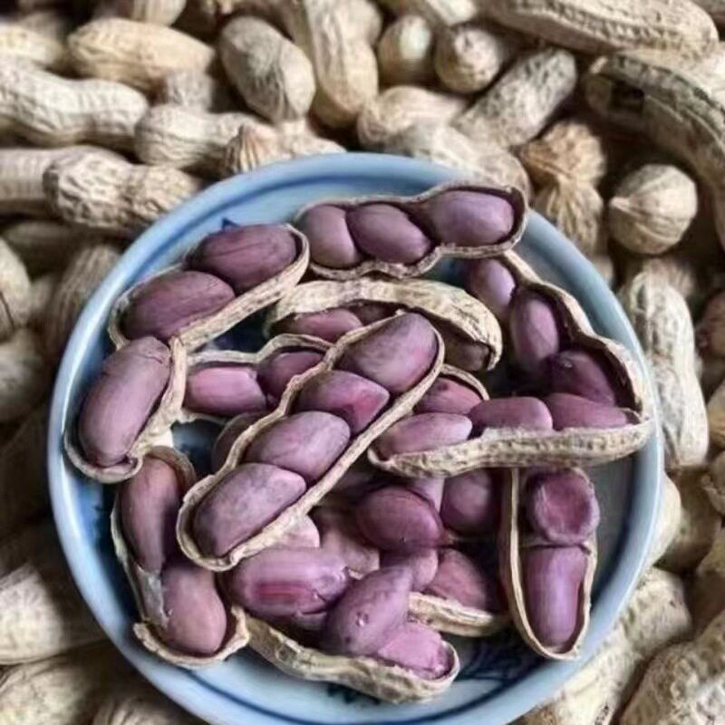 New Longyan Boiled Peanuts, Sun-Dried, Salted, Boiled, Salty, Dry, Roasted, 500g X 2 Bags, Loose, with Shells, Cooked Snacks, Specialty Food