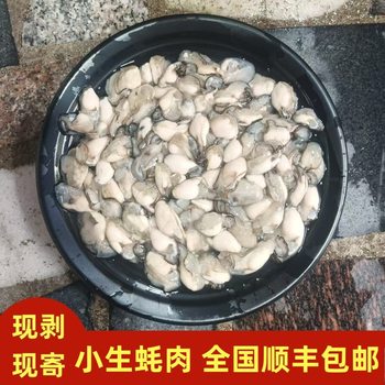 Freshly Shucked Oyster Meat, Same-Day Delivery, Seafood, Fresh Oysters, Oyster Patties, Free Shipping with Sf Express