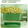 Food-Grade Bean Sprout and Peanut Sprout Tool for Home Use, Special Sprouting Pot for Growing Bean Sprouts