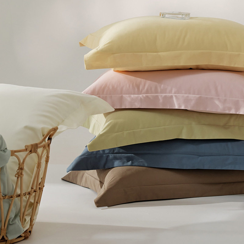 Autumn and Winter 100S High-End Thickened Brushed Single-Piece Duvet Cover, Bed Sheet, Fitted Sheet, Solid Color, Simple, Multiple Sizes, Pure Cotton Single Piece