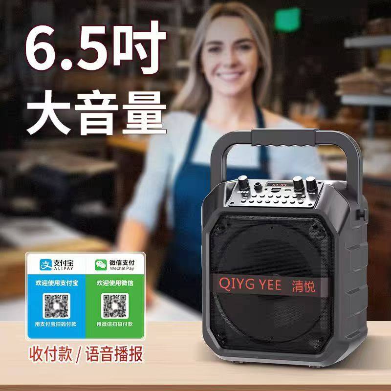 Qingyue Square Dance Audio Bluetooth Outdoor Small Speaker H5 High Volume Portable Karaoke Subwoofer Wireless