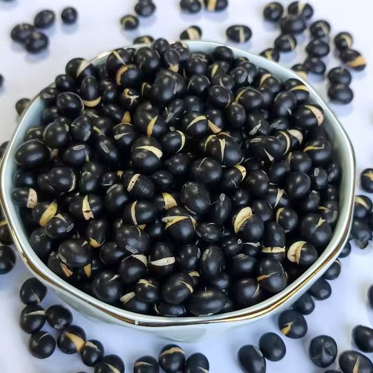 低温烘焙黄芯黑豆豆浆粉磨粉原料黄心黑豆五谷杂粮熟黄仁黑豆散装