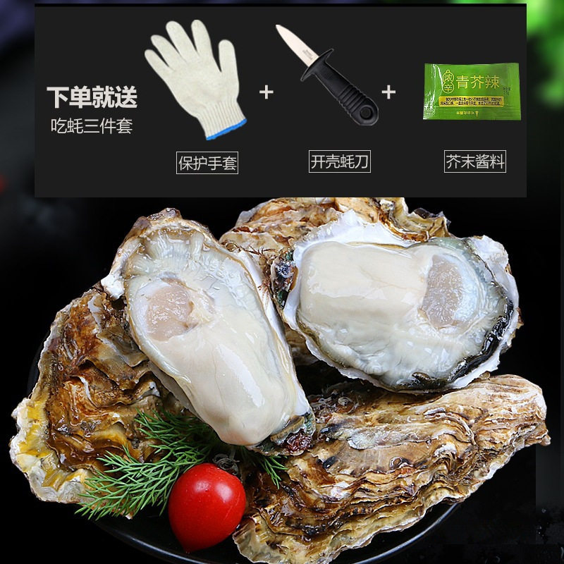 Seafood Shells, Oysters, Fresh Aquatic Products, Fresh Oysters, 10 Boxes, 5 Oysters, Ready-To-Eat, Special Large Size