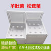 Tricholoma matsutake Morel Strawberry 2 jin 4 Jin foam box special source for express transportation factory wholesale