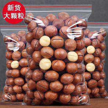 New Arrival Macadamia Nuts 500g Bulk Extra Large 1.0kg Creamy New Year Macadamia Nuts Weighing 250g Dried Nut Snacks 5