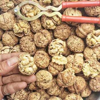 Walnut thin skin 2021 new 10kg big fruit original pregnant women Yunnan paper thin shell pockmarked fresh spades