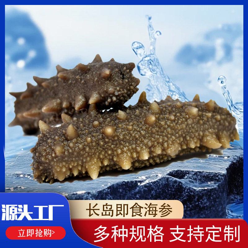 Manufacturer Supplies Changdao Ready-To-Eat Sea Cucumber, Frozen and Individually Packaged, Fresh and Chewy Sea Cucumber Wholesale and Customization
