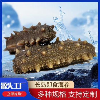 Manufacturer Supplies Changdao Ready-To-Eat Sea Cucumber, Frozen and Individually Packaged, Fresh and Chewy Sea Cucumber Wholesale and Customization
