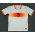 2627 Netherlands Away