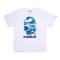 D170 white blue