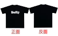Y66 black