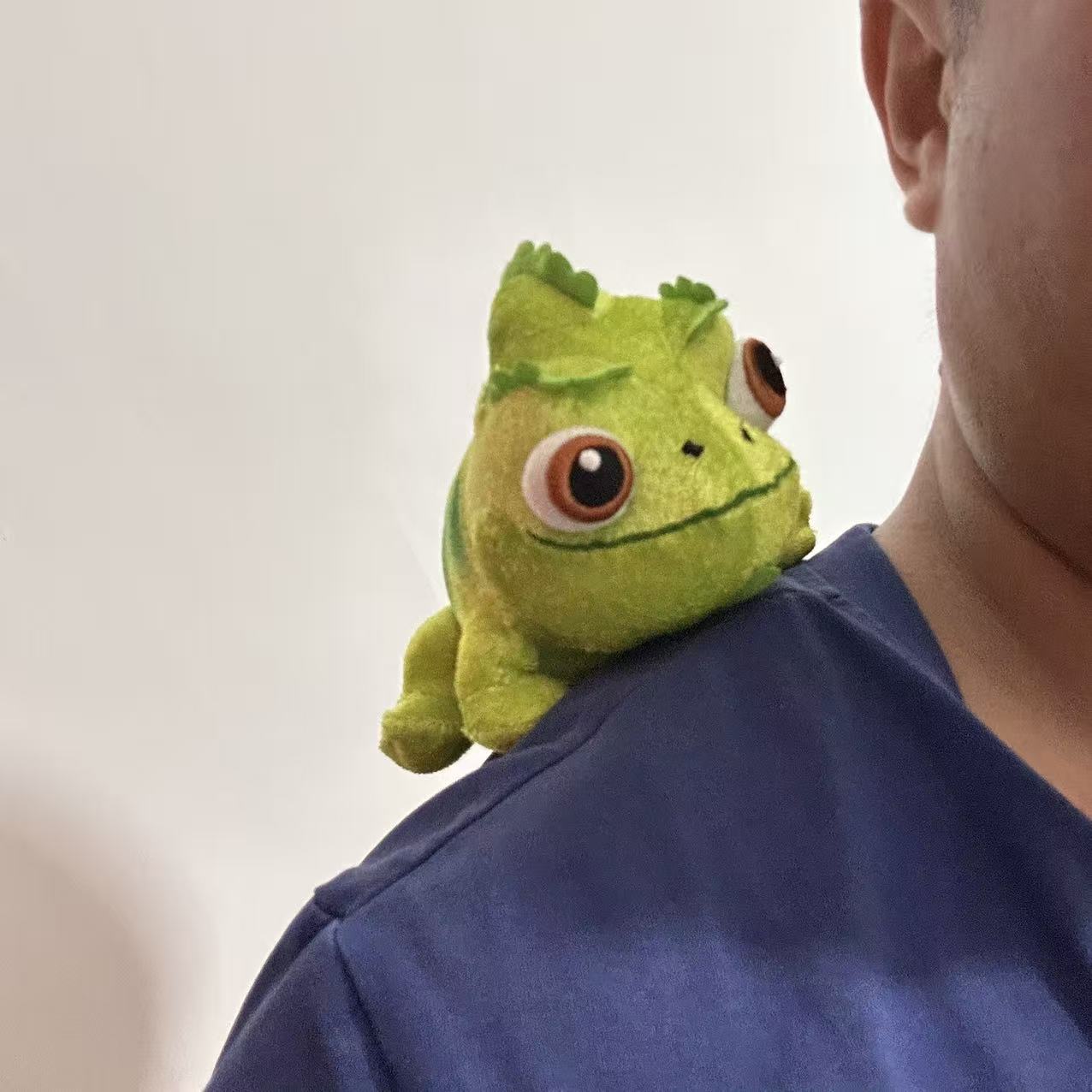 ปาสคาลไหล่ตุ๊กตา Chameleon Ocean Pig Stitch แม่เหล็กไหล่ Liz...