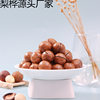 New Arrival Macadamia Nuts 500g Canned Summer Fruit Bulk New Year Dried Fruit Snacks Pecan Nuts Good Products
