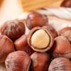 Hazelnuts in Bulk Canned Hand-Peeled Hazelnuts Thin-Skinned Original Flavor Specialty Nuts Roasted Snacks Wholesale
