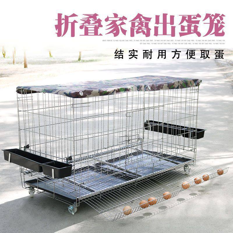 Chicken Cage Household Large Size Free Shipping Breeding Cage Household Chicken Cage Automatic Rolling Egg Chicken Cage Egg Chicken Cage Wholesale