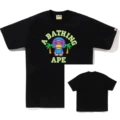 Style b21-black