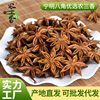 Guangxi High-Quality Star Anise Spices, Aniseed Spices, Seasonings, Fennel, Dry, Origin Seasonings, Direct Delivery, Available for Wholesale