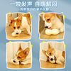 Dog Toy Ball Bite-resistant Molar Vocalization Peanut Large Dog Golden Retriever Puppy Corgi Fa Fighting Cats and Dogs Relieving Anxity Artifact