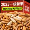 Brazilian Pine Nuts New Stock, Brazilian Pine Nuts in Bulk, Afghan Kernels