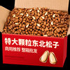 Open-ended northeast pine nuts wholesale bulk weighing nuts extra large particles hand-peeled pine nuts snacks dried nuts