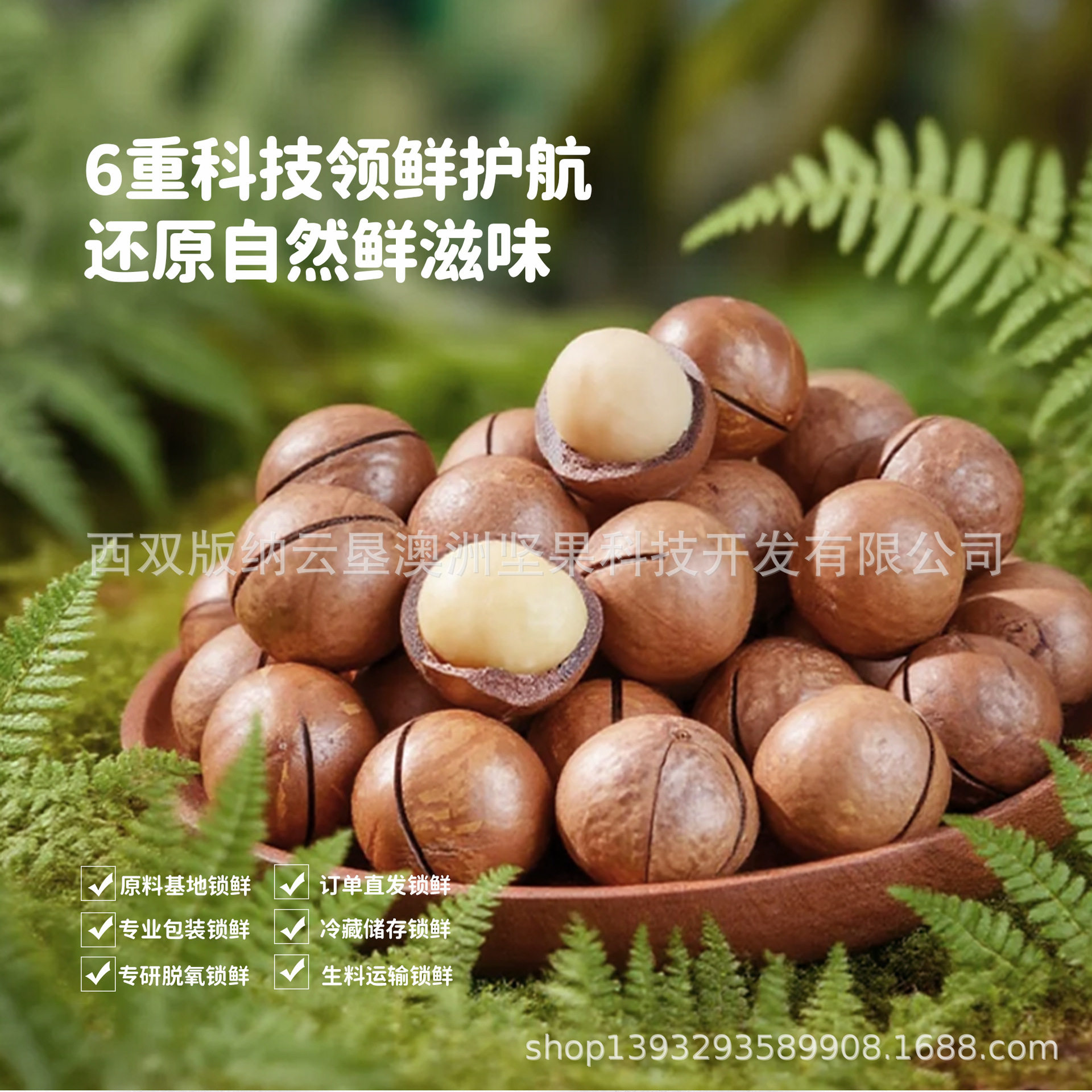 Yunken Macadamia Nut Half Kernel 5kg Minimum Order Oem Custom Bulk Raw Material Wholesale Large Quantity Excellent Price