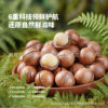 Yunken Macadamia Nut Half Kernel 5kg Minimum Order Oem Custom Bulk Raw Material Wholesale Large Quantity Excellent Price