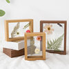 Creative Double-sided Transparent Glass Photo Frame Stereo Square Rectangular diy Specimen Photo Frame