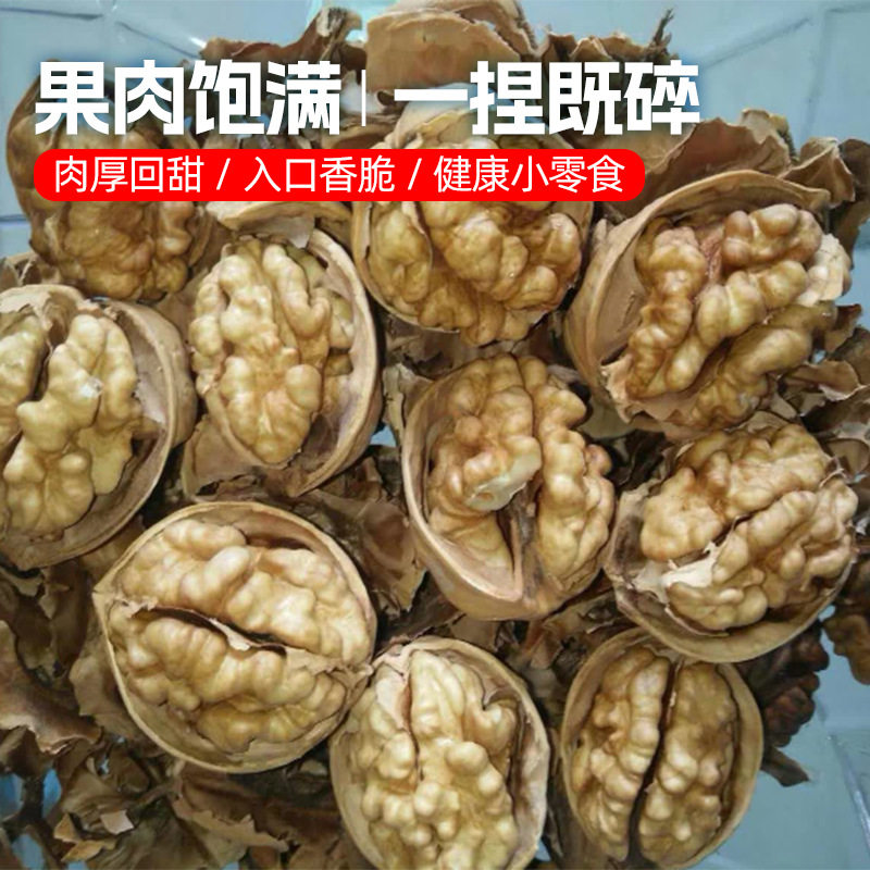 Walnut Wholesale Street Stall Exhibition Nut Snacks Snacks Souvenirs Dry Goods Food Xinjiang 185 Paper-Skinned Walnuts
