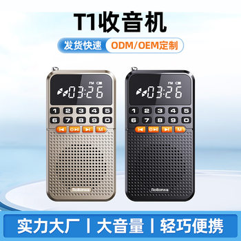 Rolton/Teling T1 New Portable Radio for the Elderly, Mini Audio, Morning Exercise Walkman