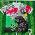 25 brazil special edition