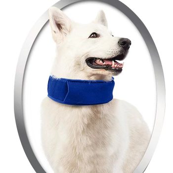Factory direct pet heatstroke cooling collar dog chain dog collar pet collar wholesale cooling artifact