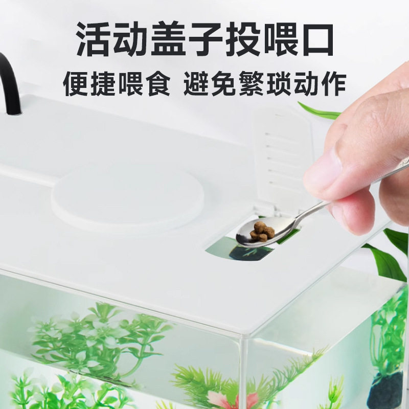 Desktop Fish Tank Aquarium Turtle Tank Goldfish Tank Creative Living Room Small Fish Tank Water Free Landscape Ecological Fish Tank