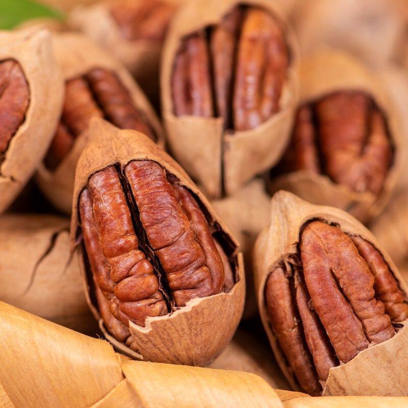 New Arrival Pecan Nuts with Creamy Flavor, Large Kernels, Net Weight 2.5kg Grams, Large Bag Packed Pecans, New Year's Goods, Whole Box Wholesale