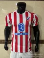 Atletico Madrid Home