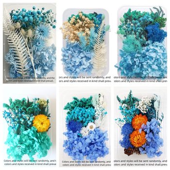 Preserved Flower DIY Dried Flower Material Kit, Scented Floating Flowers, Parent-Child Activity Flower Materials, Wholesale from Yunnan Manufacturer