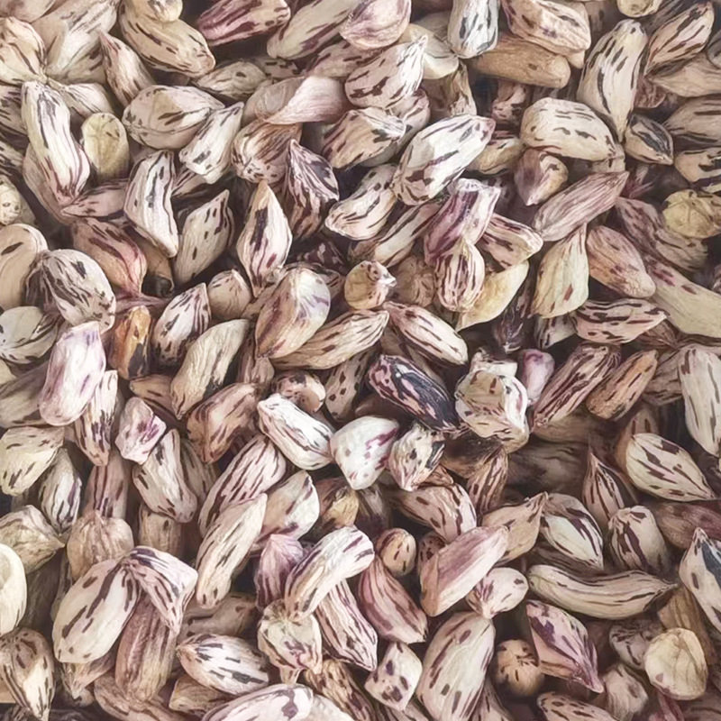 Colorful Flat Peanuts New Arrival Small Flat Peanuts Original Flavor Snacks Vacuum Packaging Yunnan Colorful Peanuts Manufacturer