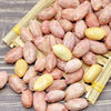 Five-Spice Peanuts 300G/Can New Arrival Snacks Ready-To-Eat Barbecue Food Stall Same Style Source Dropshipping